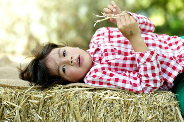 Finn lying on a bale of straw